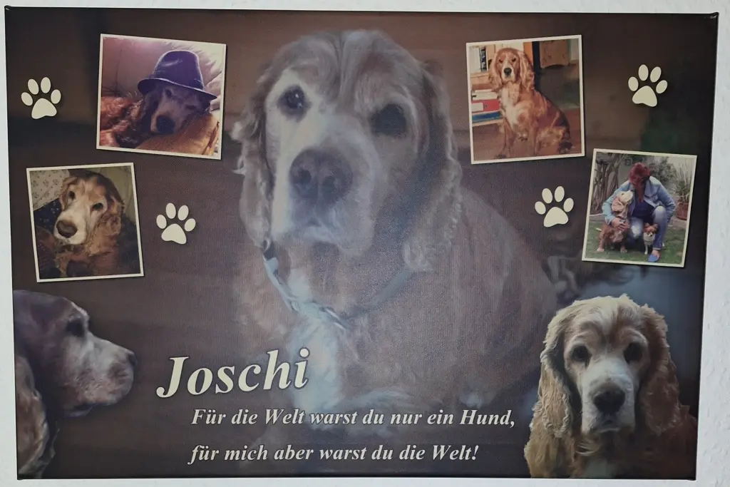 Condolence image of Deine Mama