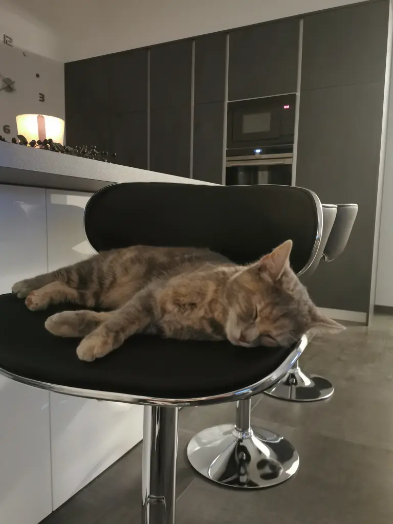 Image from Mini