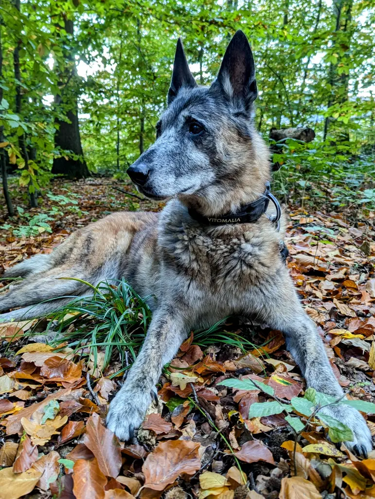 Condolence image of Astrid 