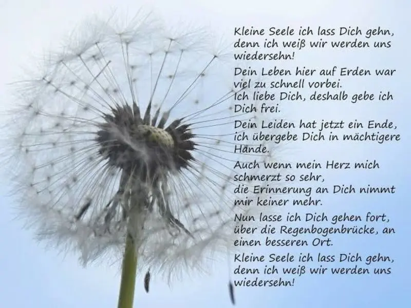 Andachtsbild von Katrin und Katzi im ❤️