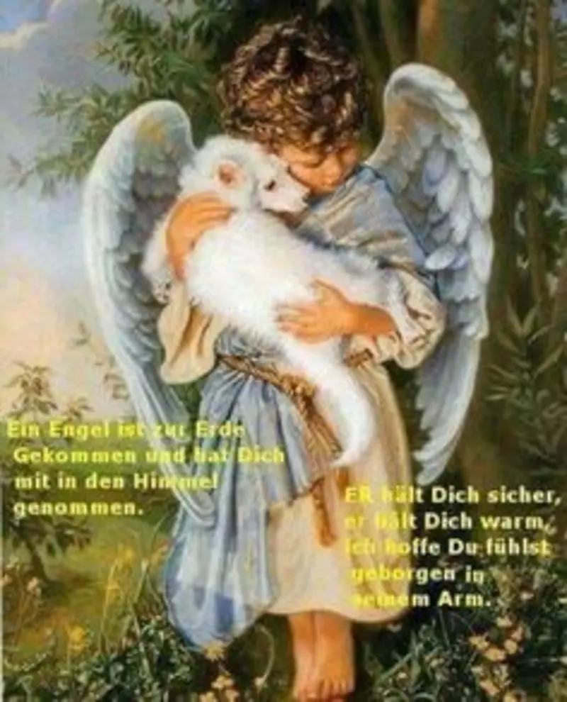 Andachtsbild von Katrin und Katzi im ❤️
