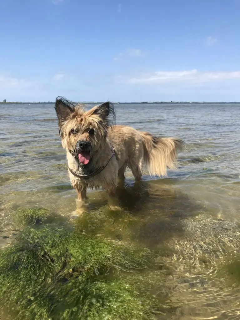 Bild von Nelly