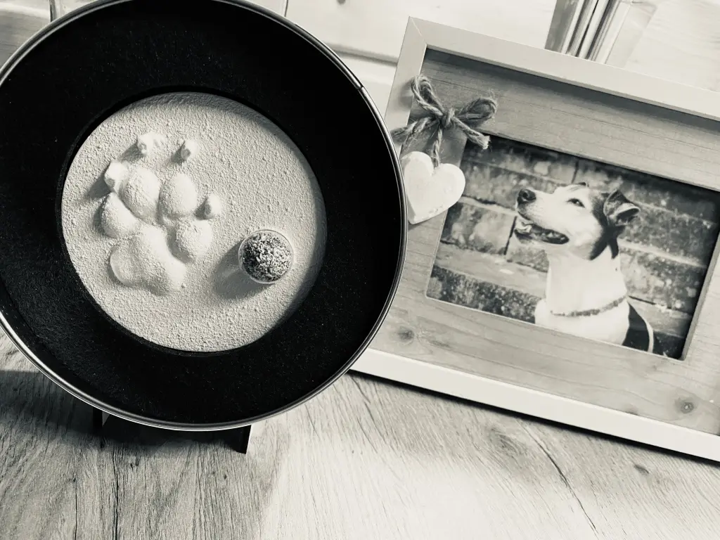 Image from Lilly Fee
