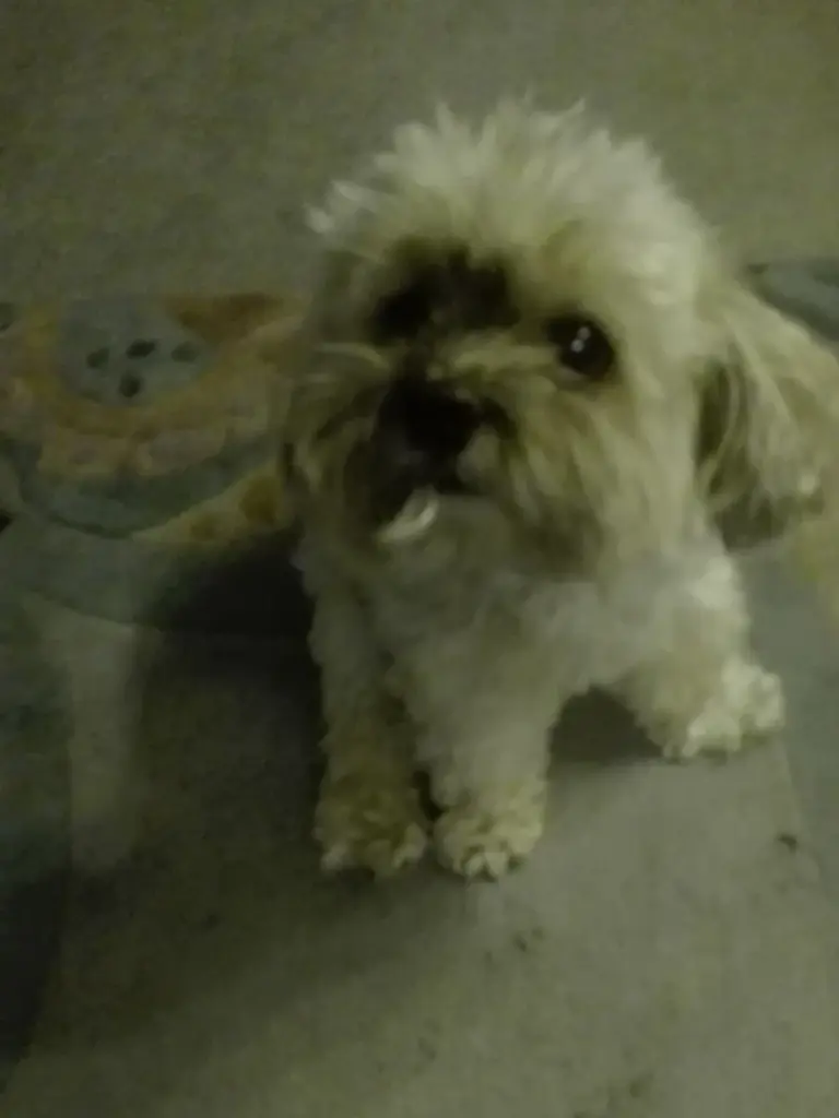 Andachtsbild von Anita Fritzsch