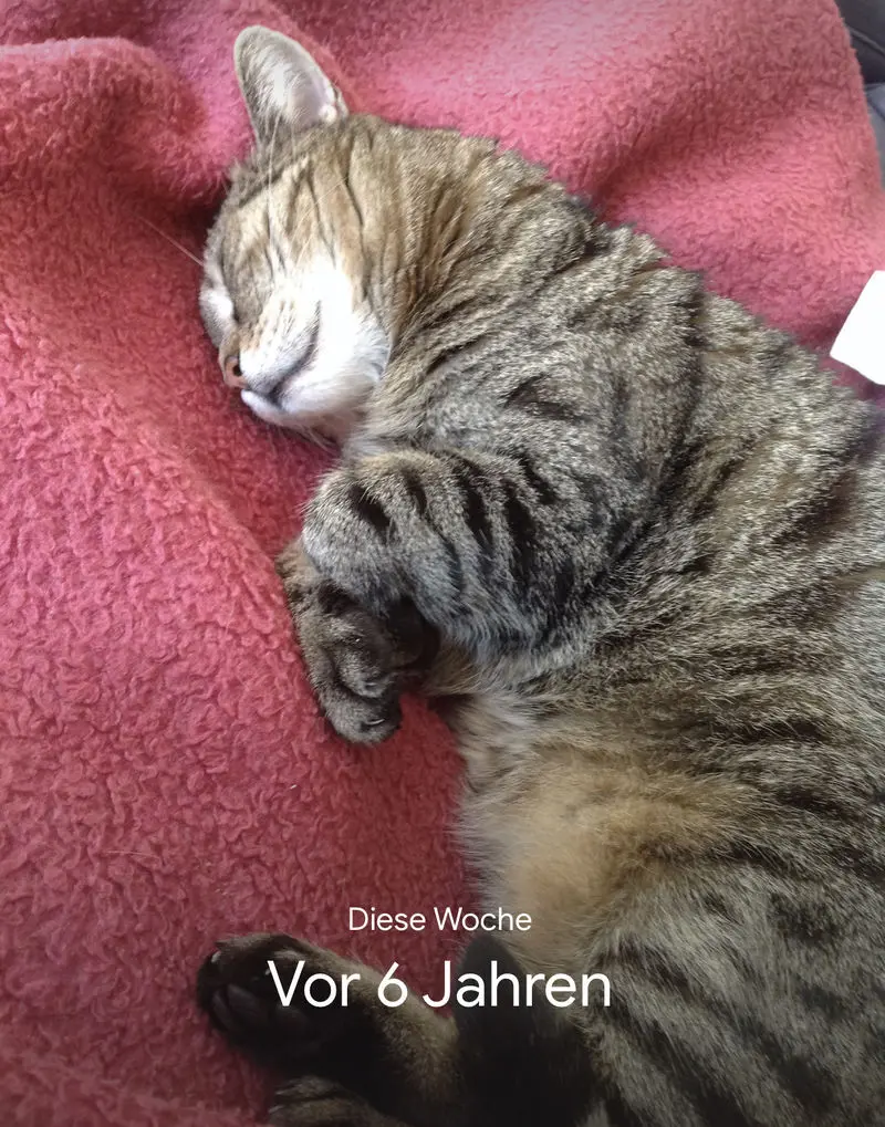 Condolence image of Vroni