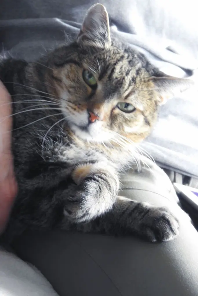Condolence image of Vroni