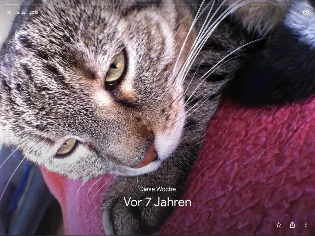 Condolence image of Vroni