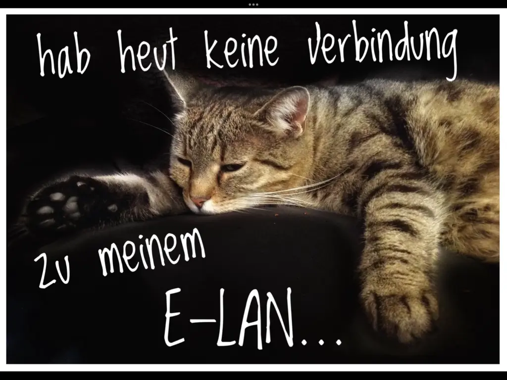 Condolence image of Vroni