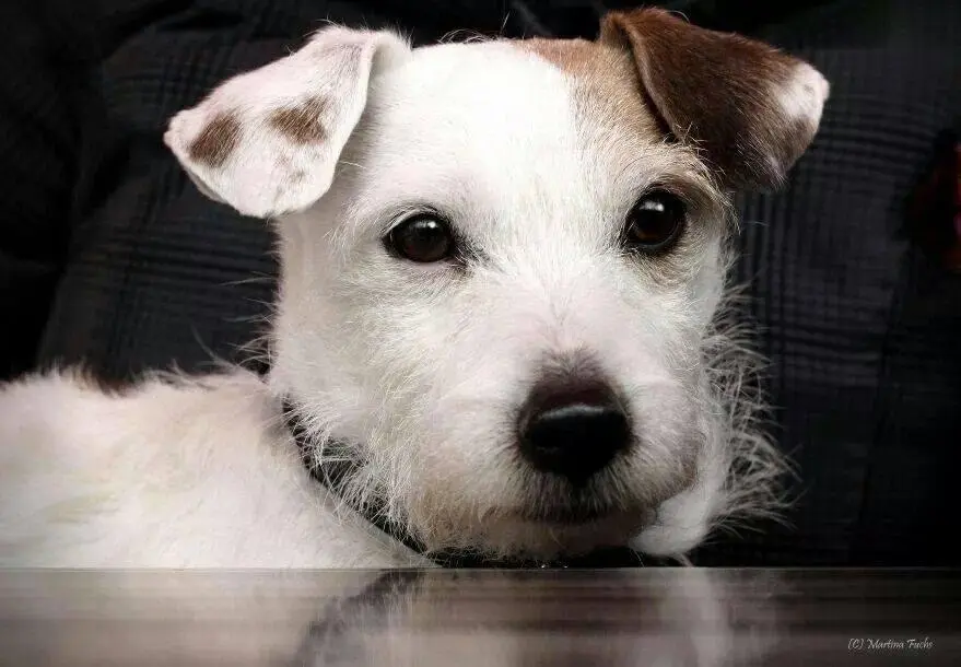 Image from Sleepy