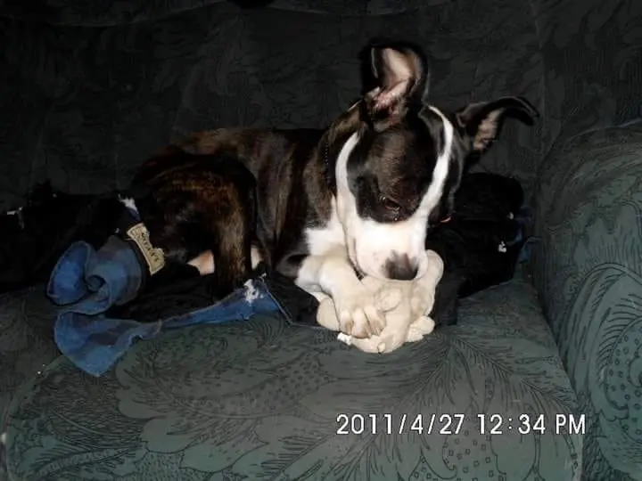 Image from Sammy