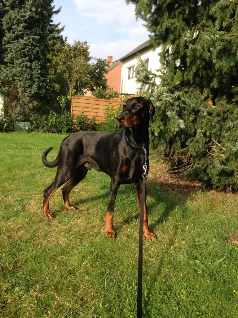 Image from Ernie
