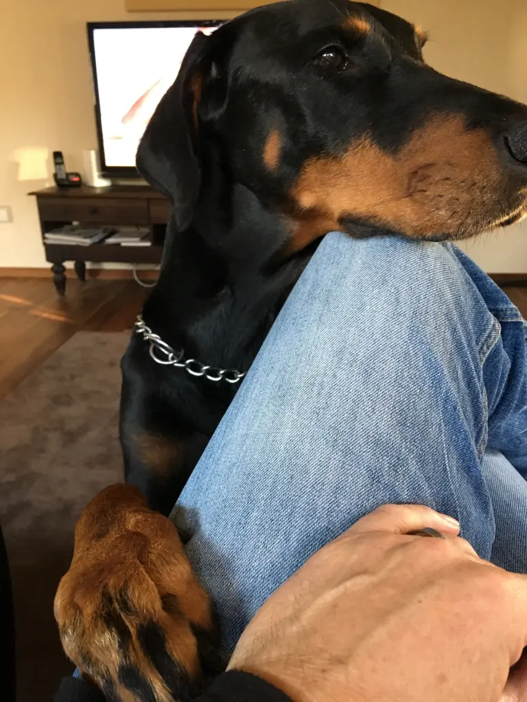 Image from Ernie