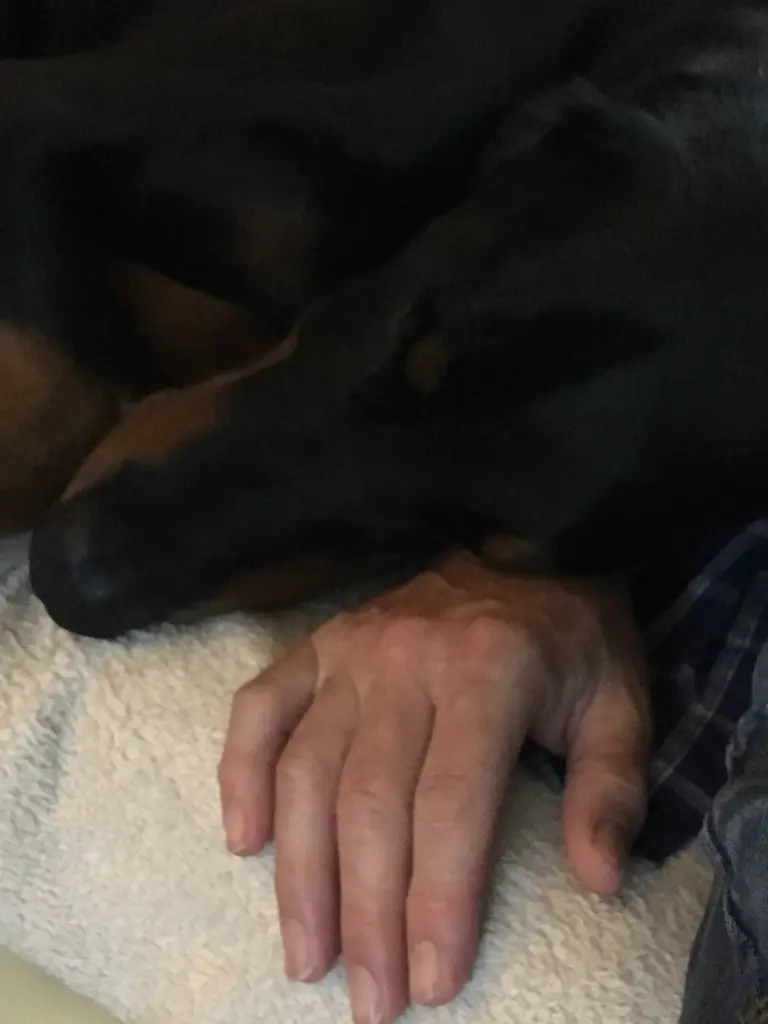 Image from Ernie