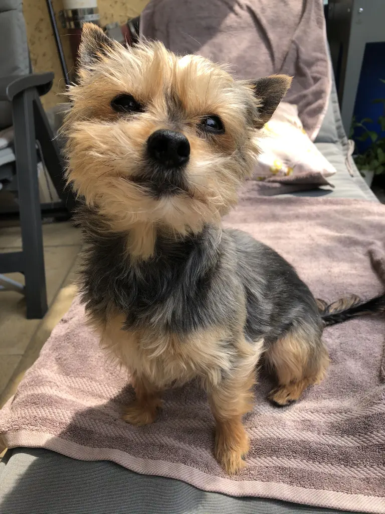 Image from Minnie