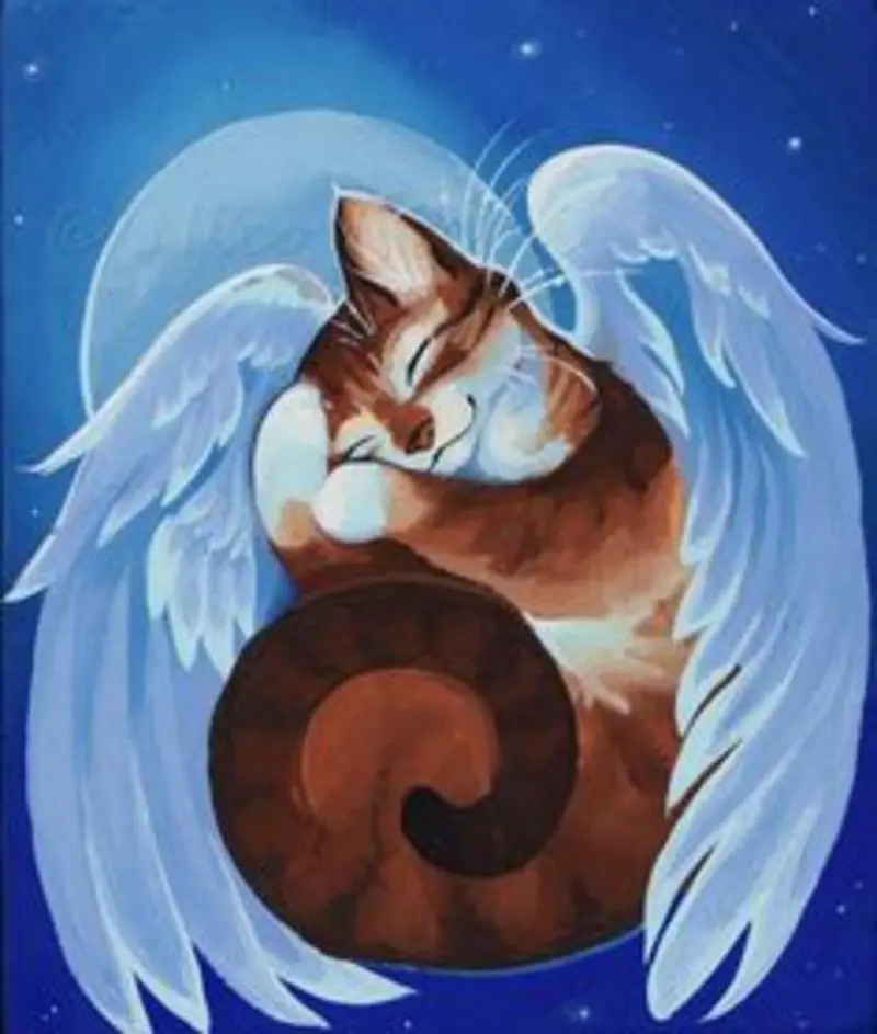 Condolence image of Katrin und Katzi im ❤️