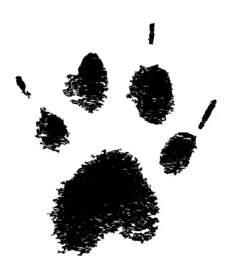 Image from Mama