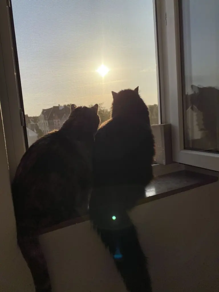 Andachtsbild von Kathrin mit Mimmy und Lilly im Herzen