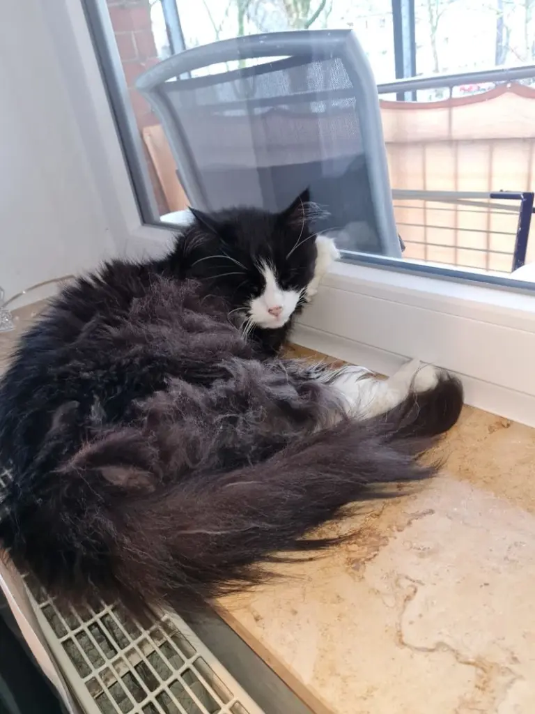 Andachtsbild von Fabienne Gonzales