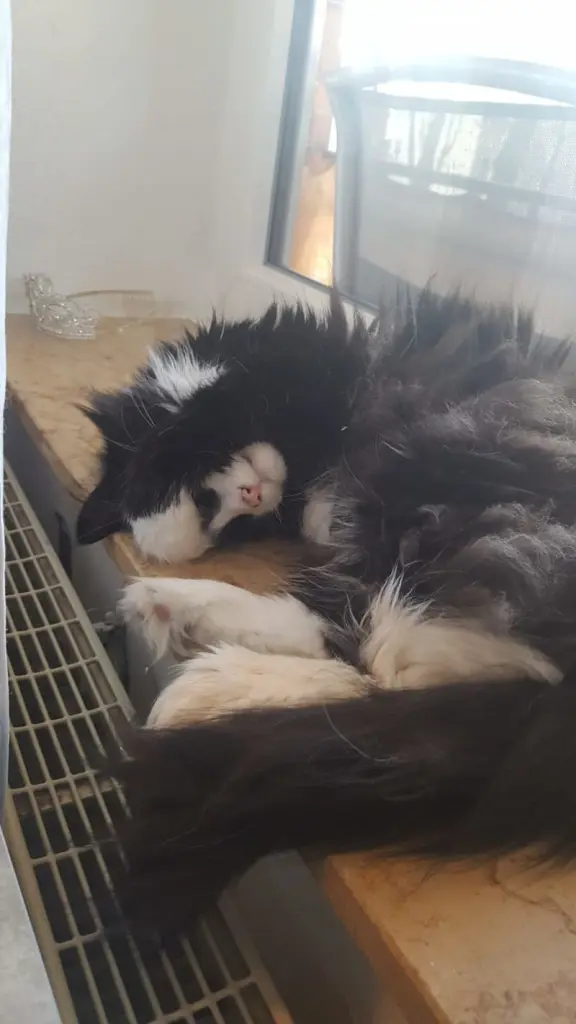 Andachtsbild von Fabienne Gonzales