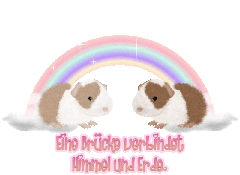 Andachtsbild von Katrin und Katzi im ❤️