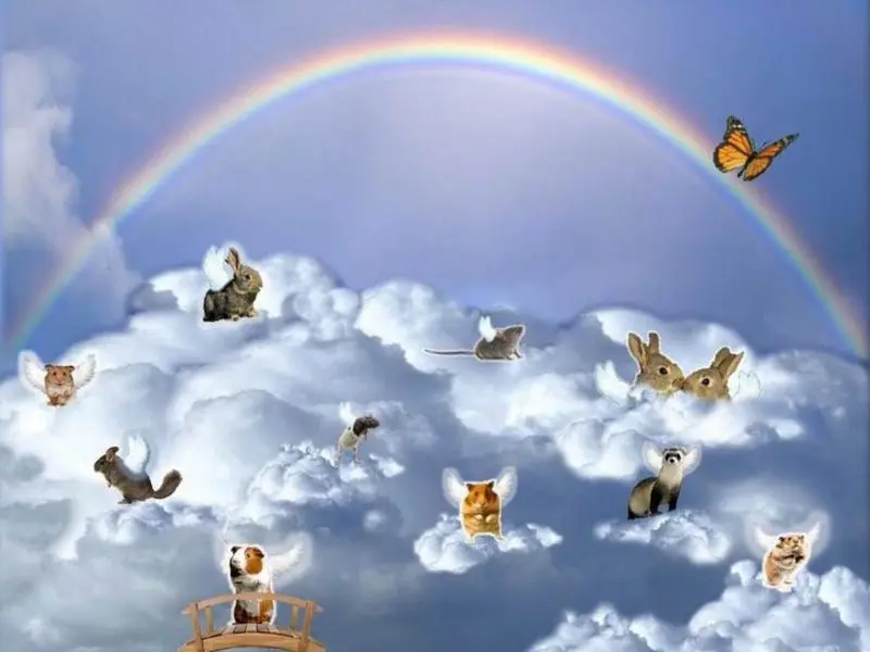 Andachtsbild von Sabine