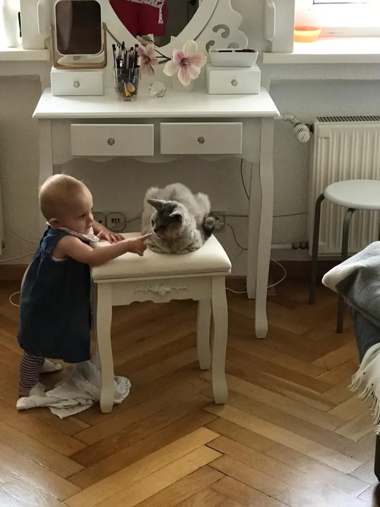 Image from Sissi