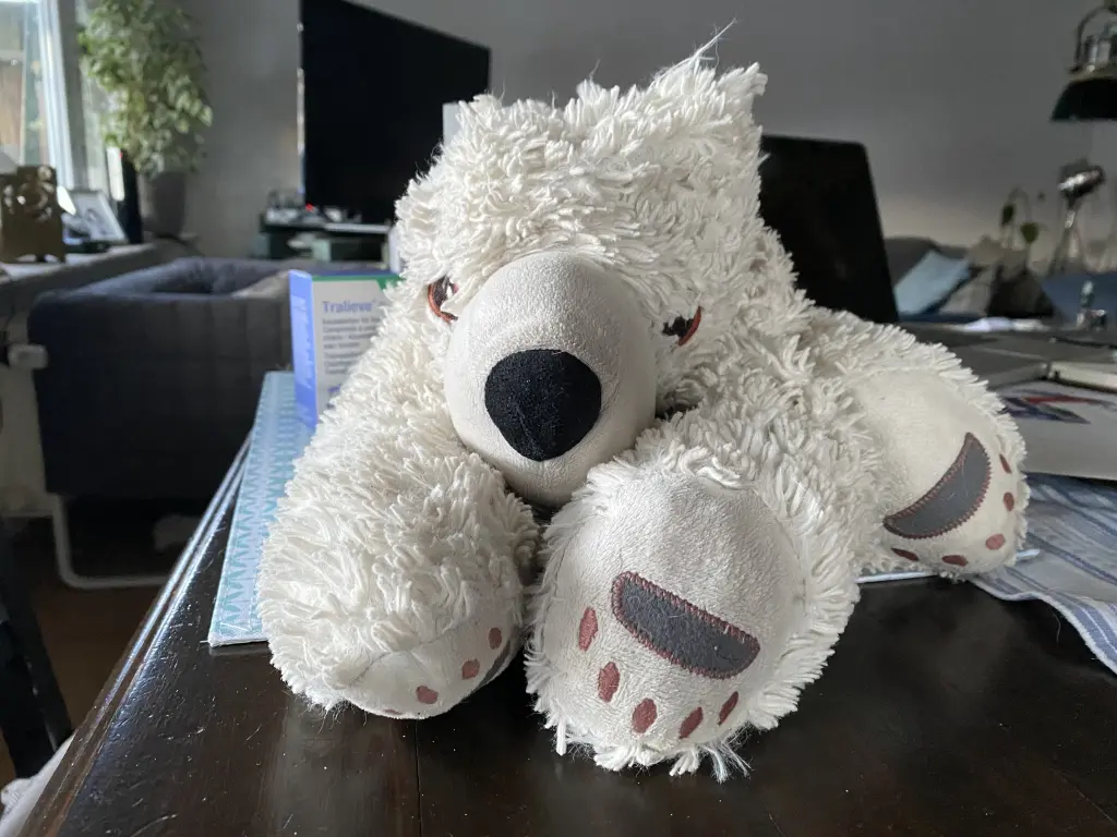 Image from Meylo