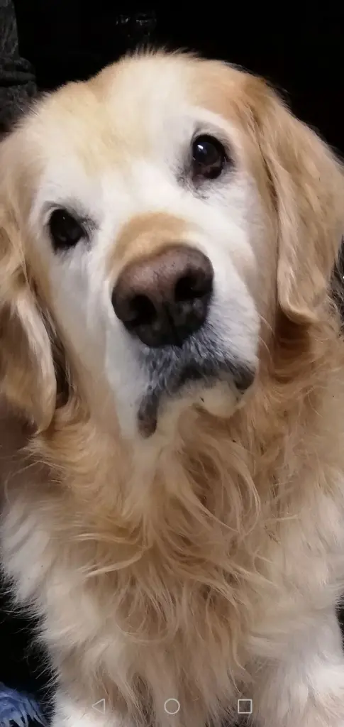 Condolence image of Claudia