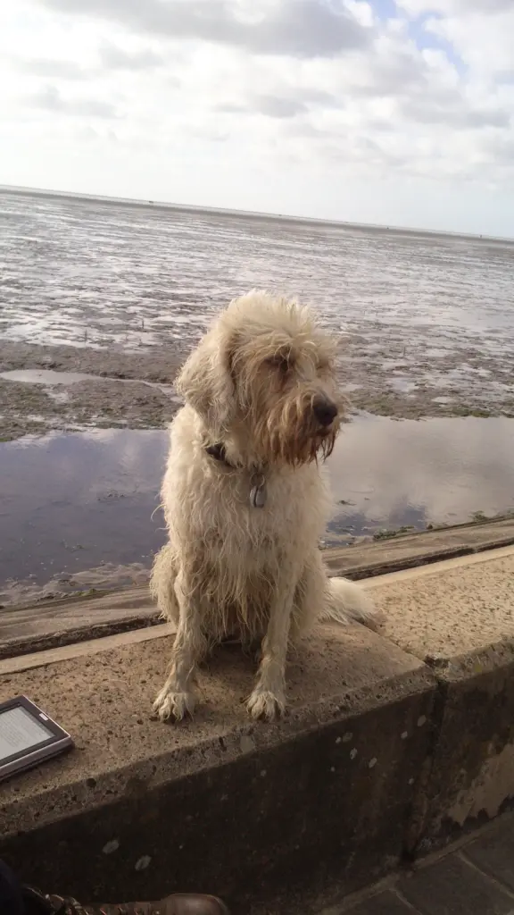 Image from Coralie