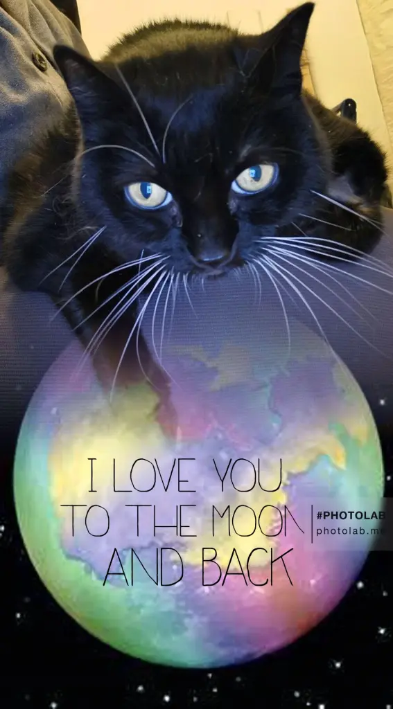 Image from Nala