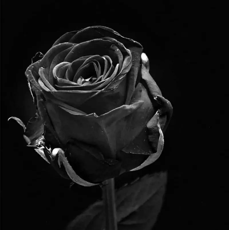Condolence image of Sanny