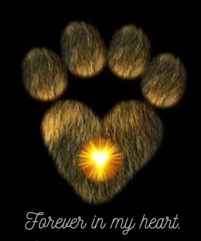 Condolence image of ❤