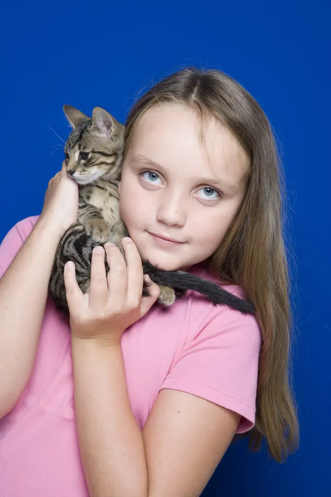 Image from Tiger