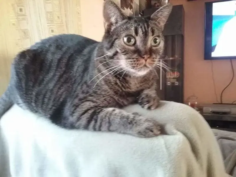 Andachtsbild von Bärbel und Reiner Klammes