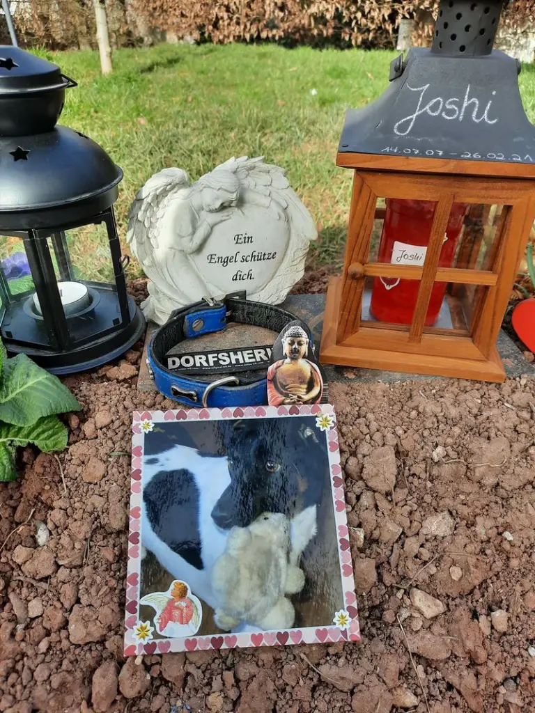Condolence image of Melanie (Frauchen)
