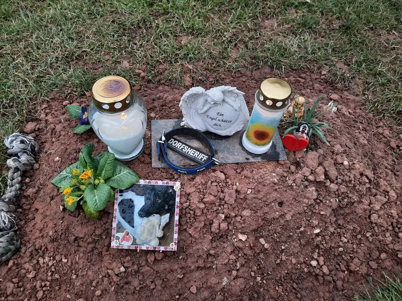 Condolence image of Melanie 