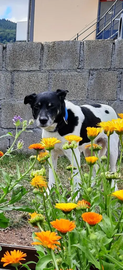 Condolence image of Melanie