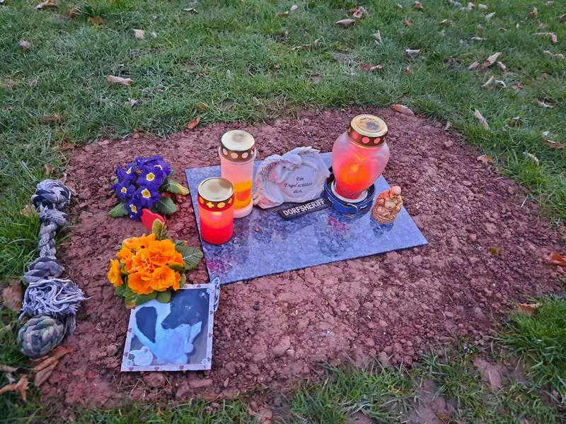 Condolence image of Melanie