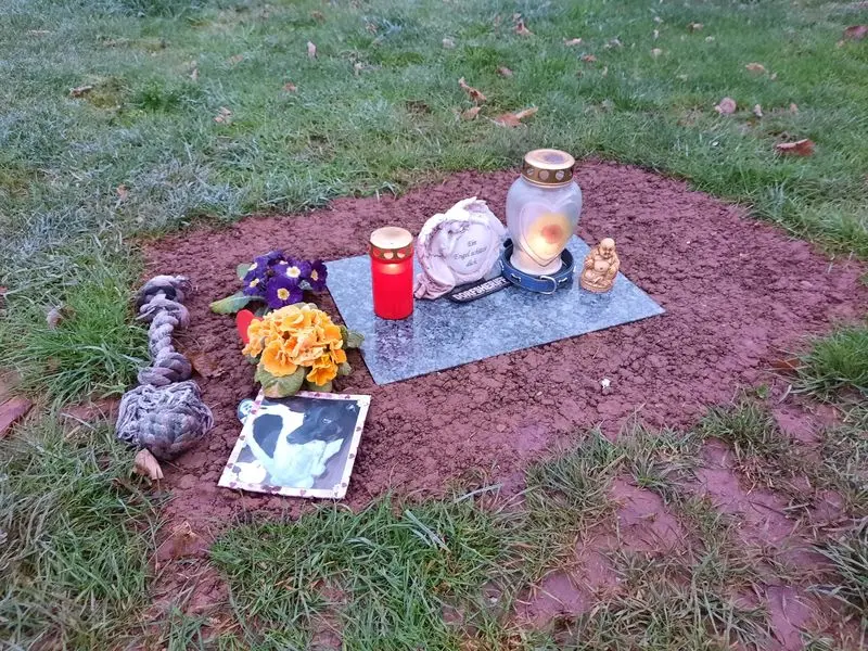 Condolence image of Melanie (Frauchen)
