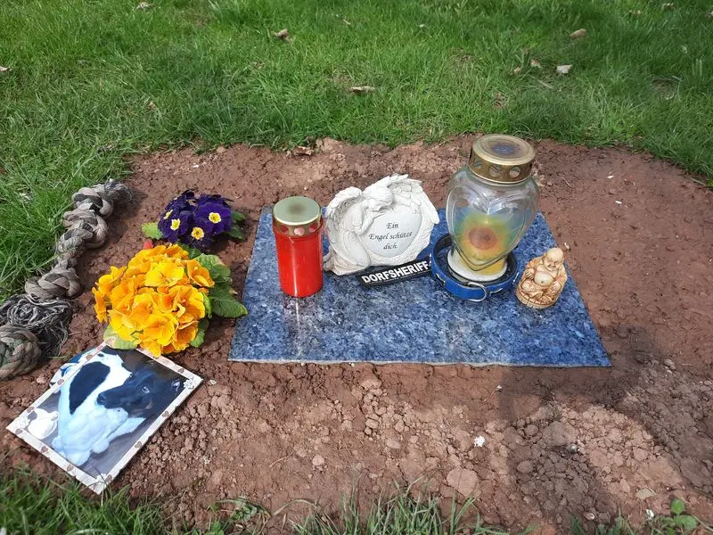 Condolence image of Melanie (Frauchen)