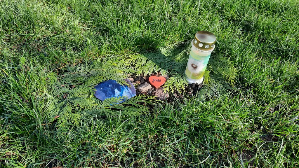 Condolence image of Melanie