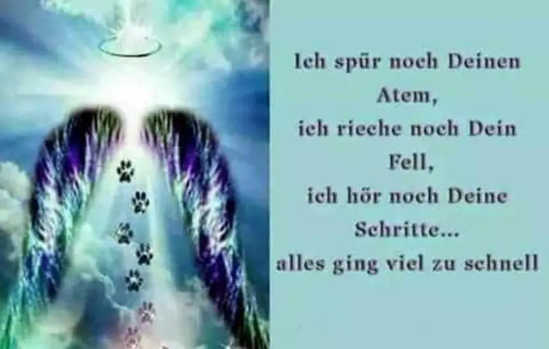 Condolence image of Andrea mit Minki im ❤ gest.19.10.2020