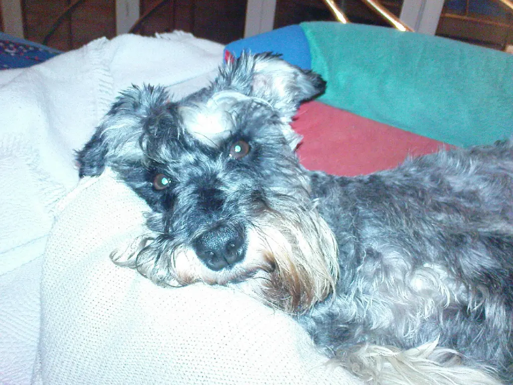 Image from Demon