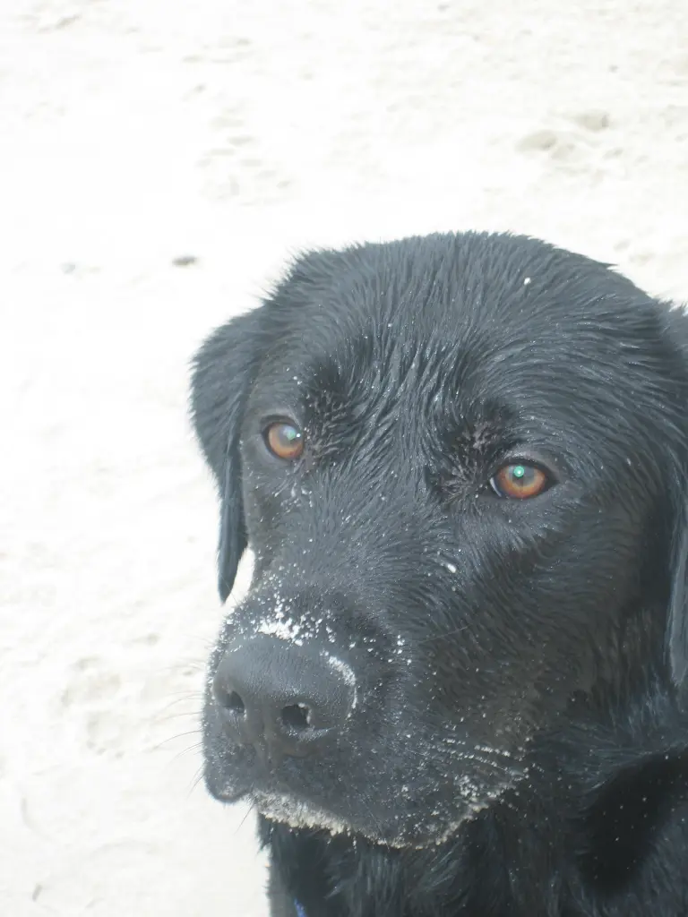 Image from Arthas