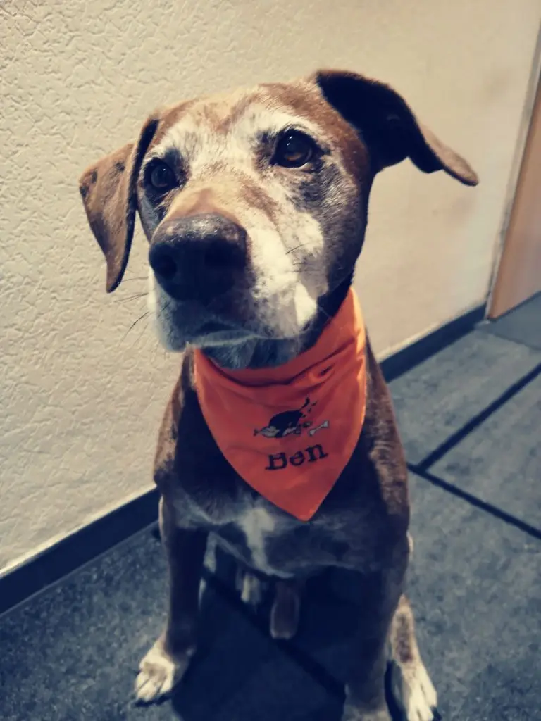 Condolence image of Steffi mit Ben tief im Herzen 