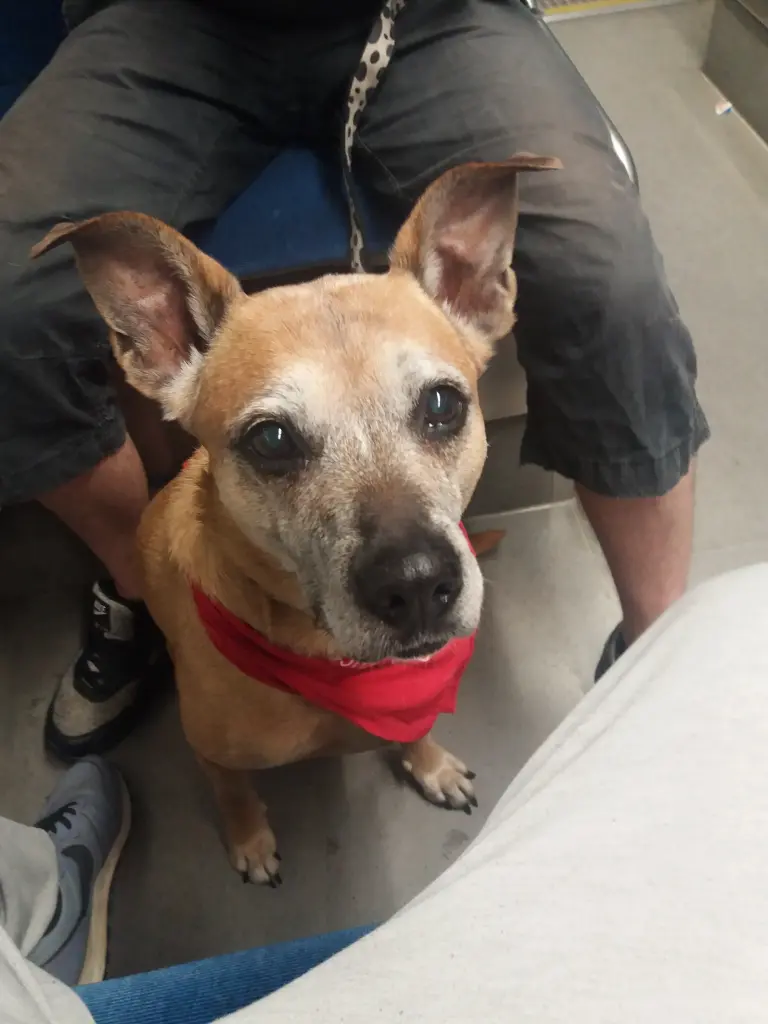 Image from Deelishes