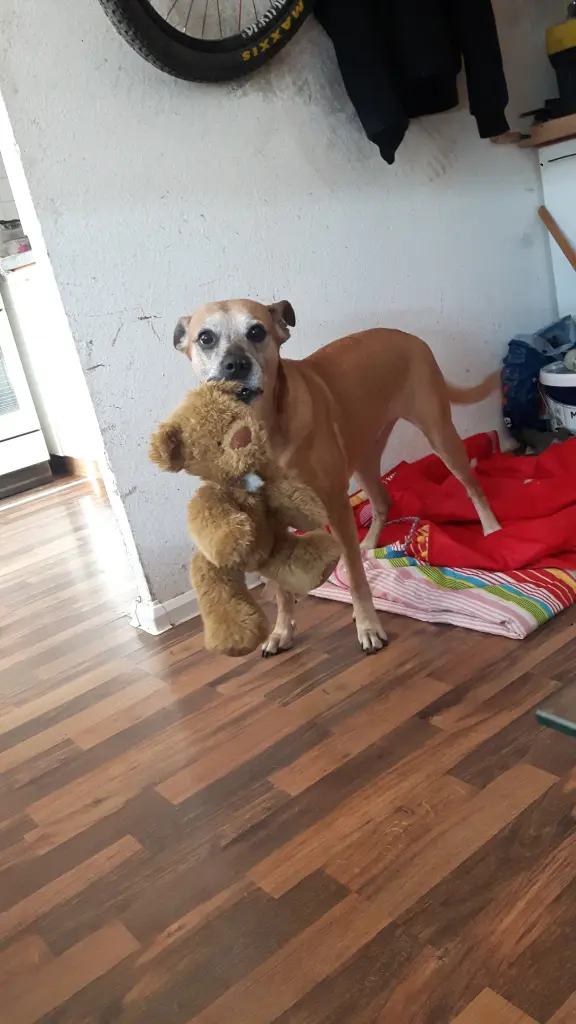 Image from Deelishes