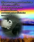 Condolence image of Katrin und Katzi im ❤️