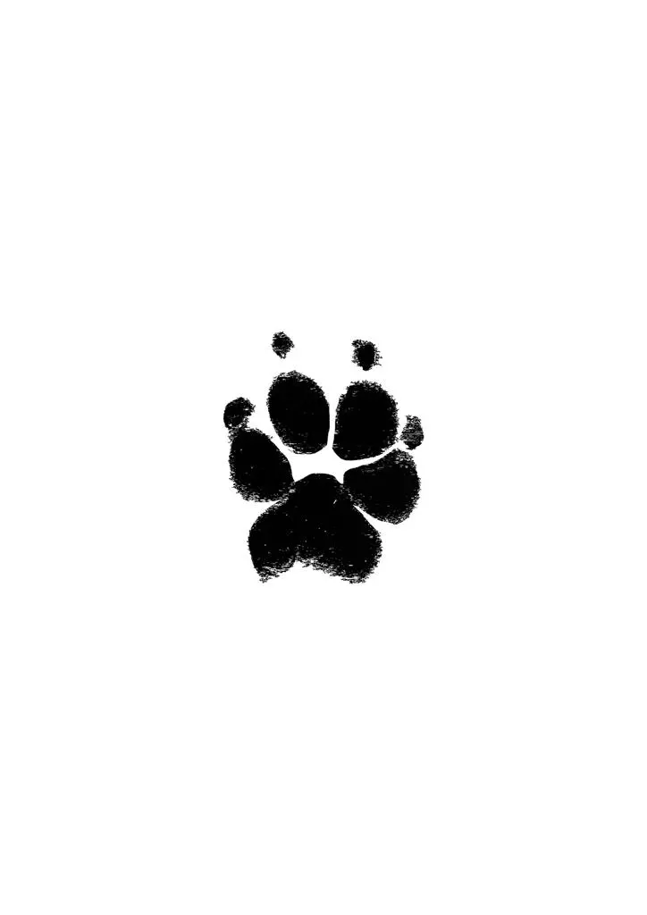 Image from Max