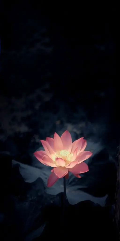 Andachtsbild von ❤